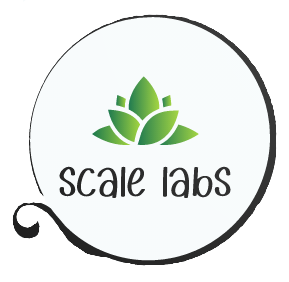 'СКЕЙЛ ЛАБС' ООД